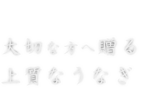 大切な方へ贈る 三河一色産 うなぎ 