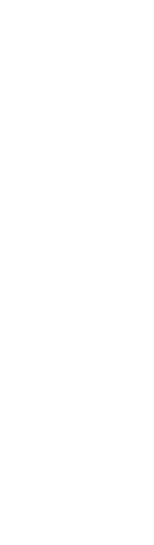 米とタレ