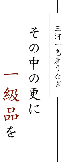 三河一色産その中の更に一級品を